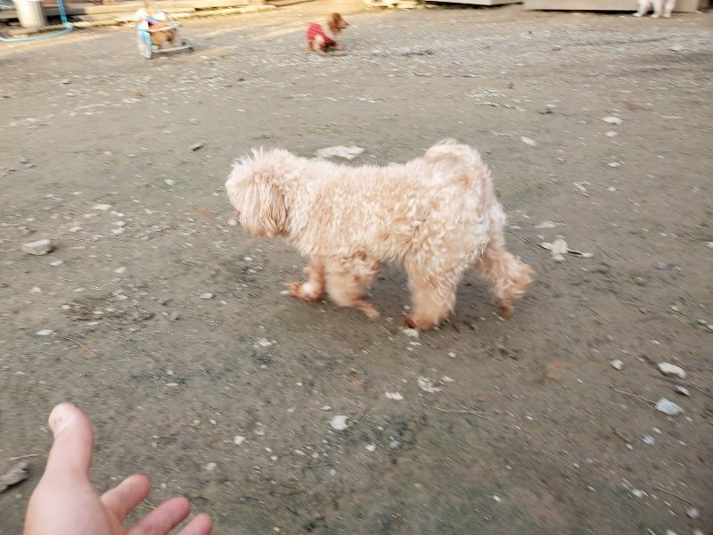 f:id:roukenhome-ann:20191213220749j:plain f:id:roukenhome-ann:20191213220749j:plain