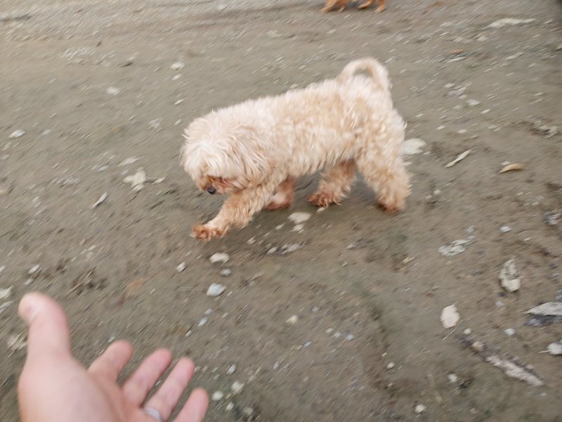 f:id:roukenhome-ann:20191213220816j:plain f:id:roukenhome-ann:20191213220816j:plain