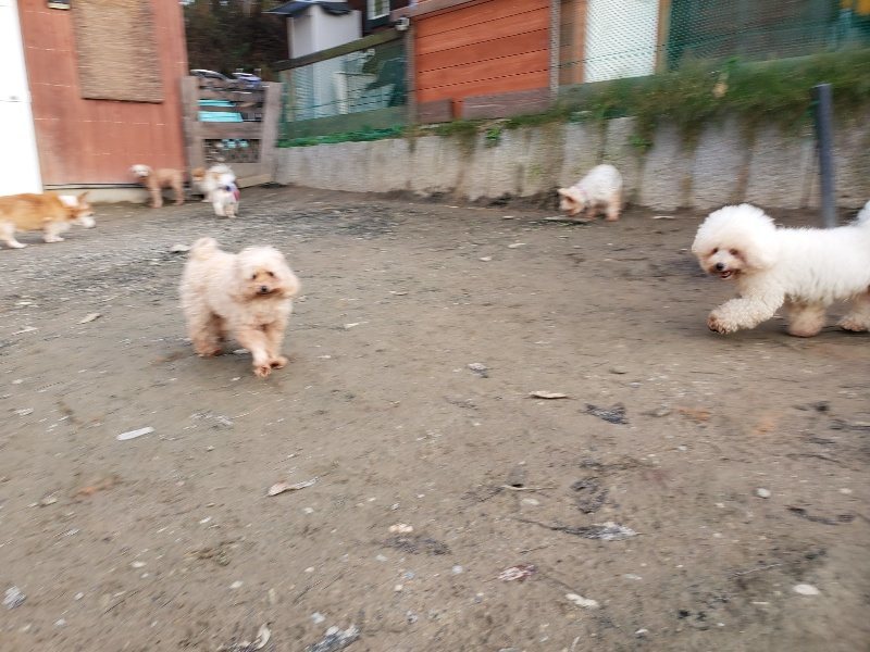 f:id:roukenhome-ann:20191213220832j:plain f:id:roukenhome-ann:20191213220832j:plain