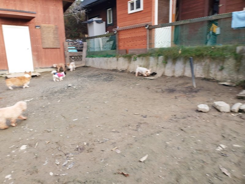 f:id:roukenhome-ann:20191213220847j:plain f:id:roukenhome-ann:20191213220847j:plain