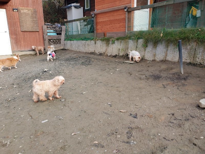 f:id:roukenhome-ann:20191213220912j:plain f:id:roukenhome-ann:20191213220912j:plain