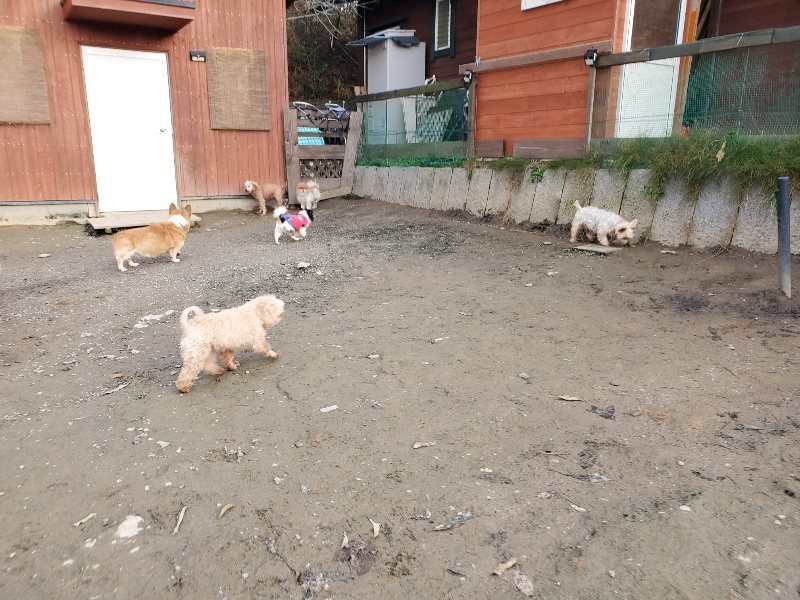 f:id:roukenhome-ann:20191213220920j:plain f:id:roukenhome-ann:20191213220920j:plain