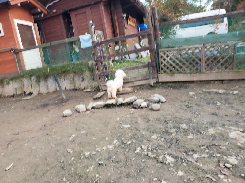f:id:roukenhome-ann:20191213220928j:plain f:id:roukenhome-ann:20191213220928j:plain