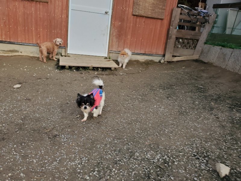 f:id:roukenhome-ann:20191214052835j:plain f:id:roukenhome-ann:20191214052835j:plain