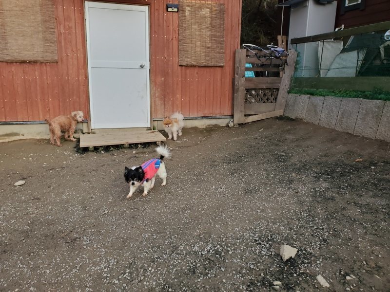 f:id:roukenhome-ann:20191214052842j:plain f:id:roukenhome-ann:20191214052842j:plain