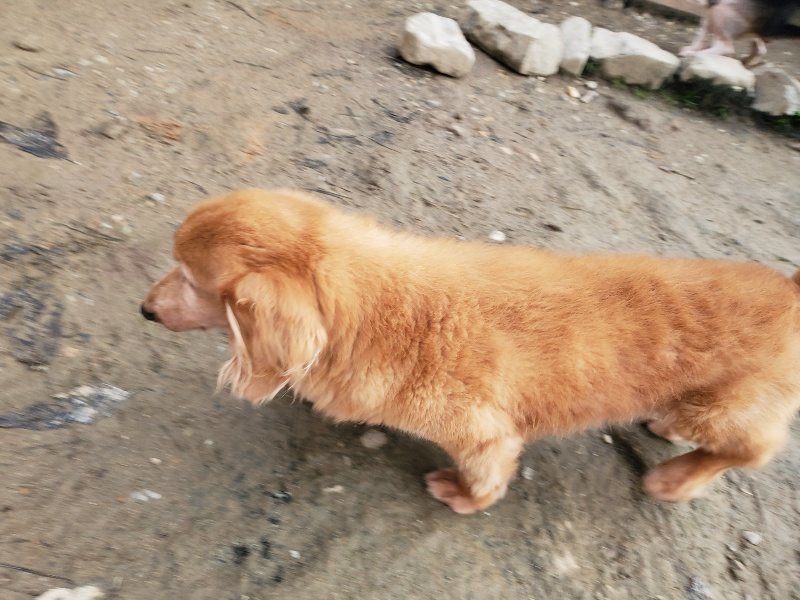 f:id:roukenhome-ann:20191214052855j:plain f:id:roukenhome-ann:20191214052855j:plain