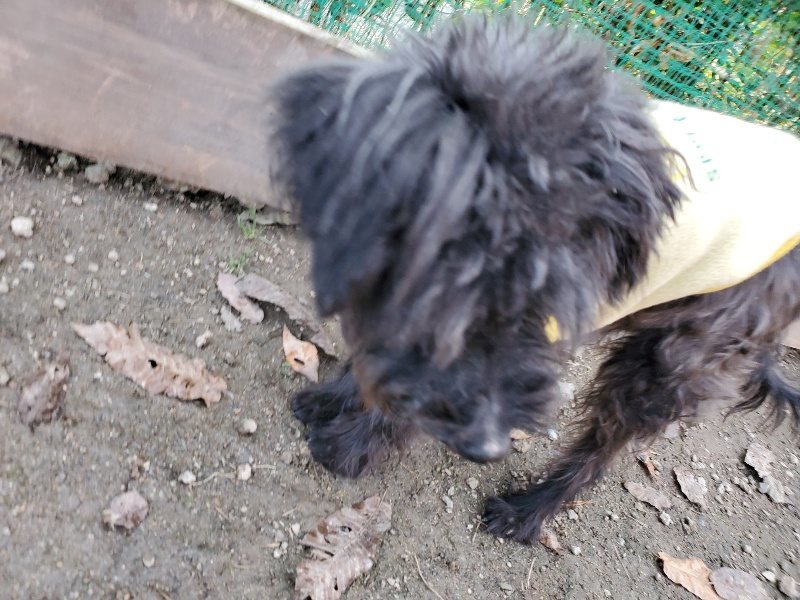 f:id:roukenhome-ann:20191214052906j:plain f:id:roukenhome-ann:20191214052906j:plain