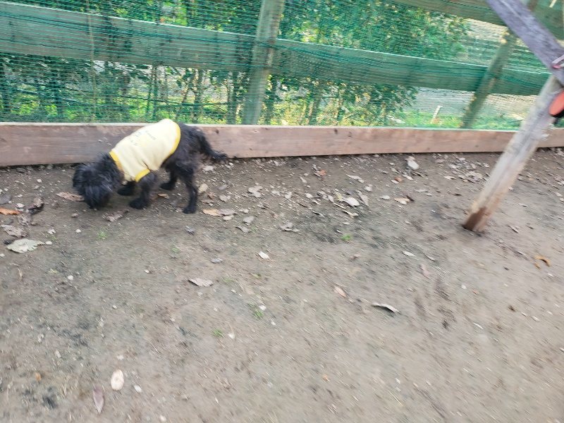 f:id:roukenhome-ann:20191214052915j:plain f:id:roukenhome-ann:20191214052915j:plain