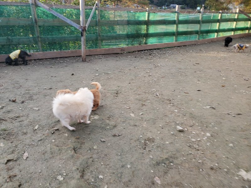 f:id:roukenhome-ann:20191214052924j:plain f:id:roukenhome-ann:20191214052924j:plain