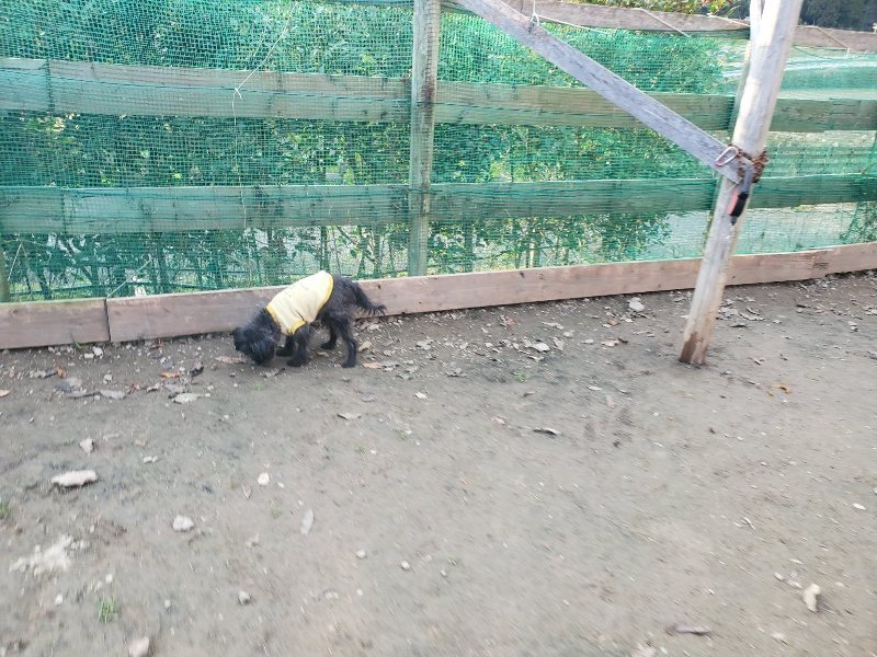 f:id:roukenhome-ann:20191214052929j:plain f:id:roukenhome-ann:20191214052929j:plain
