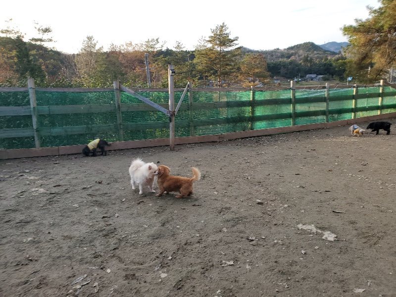 f:id:roukenhome-ann:20191214052936j:plain f:id:roukenhome-ann:20191214052936j:plain