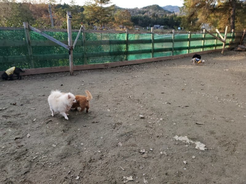 f:id:roukenhome-ann:20191214052944j:plain f:id:roukenhome-ann:20191214052944j:plain