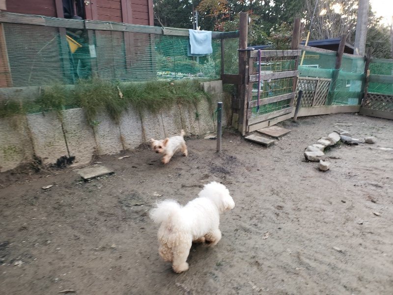 f:id:roukenhome-ann:20191214052953j:plain f:id:roukenhome-ann:20191214052953j:plain