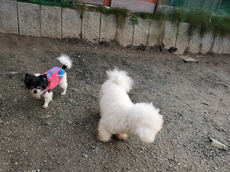 f:id:roukenhome-ann:20191214053000j:plain f:id:roukenhome-ann:20191214053000j:plain