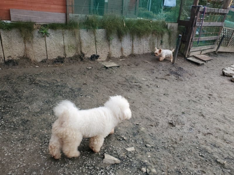f:id:roukenhome-ann:20191214053004j:plain f:id:roukenhome-ann:20191214053004j:plain