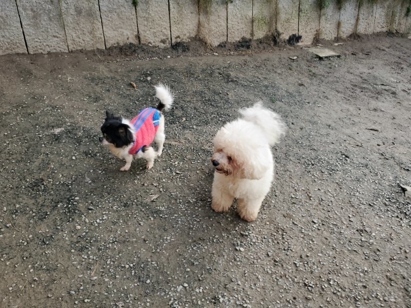 f:id:roukenhome-ann:20191214053015j:plain f:id:roukenhome-ann:20191214053015j:plain