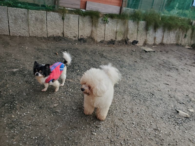 f:id:roukenhome-ann:20191214053025j:plain f:id:roukenhome-ann:20191214053025j:plain