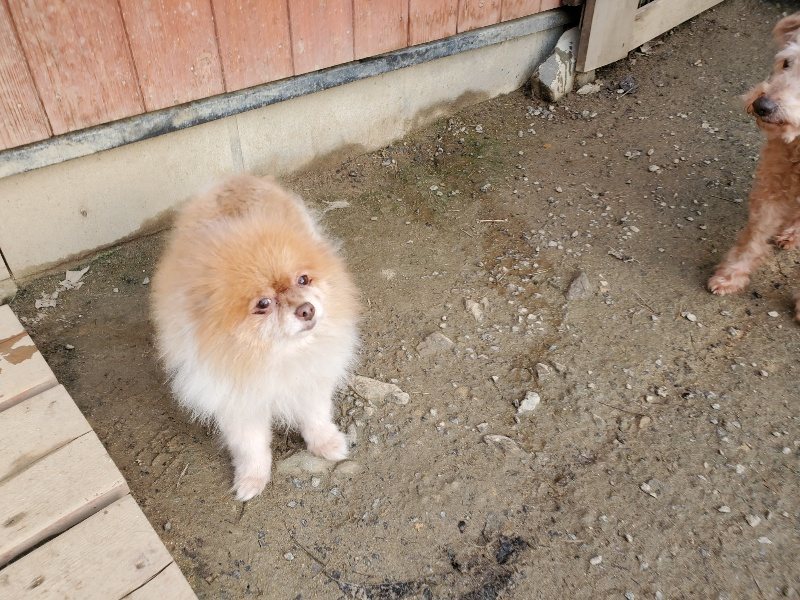 f:id:roukenhome-ann:20191214053035j:plain f:id:roukenhome-ann:20191214053035j:plain