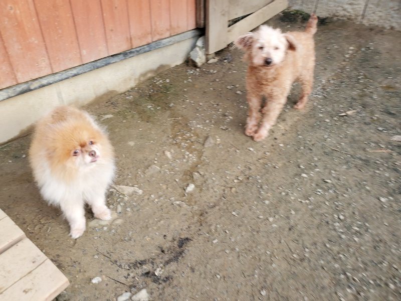 f:id:roukenhome-ann:20191214053055j:plain f:id:roukenhome-ann:20191214053055j:plain