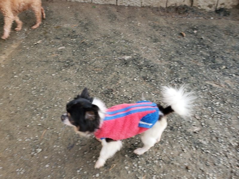 f:id:roukenhome-ann:20191214053104j:plain f:id:roukenhome-ann:20191214053104j:plain