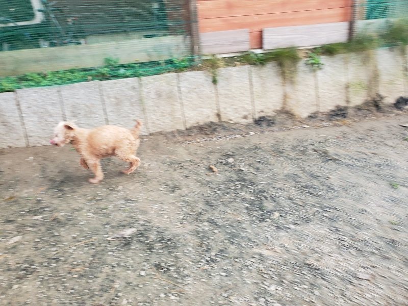 f:id:roukenhome-ann:20191214053111j:plain f:id:roukenhome-ann:20191214053111j:plain