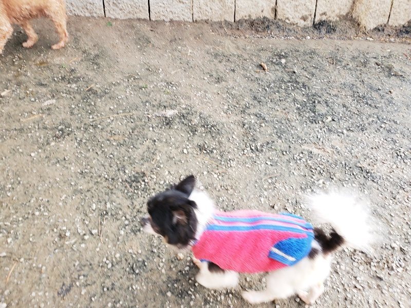 f:id:roukenhome-ann:20191214053119j:plain f:id:roukenhome-ann:20191214053119j:plain