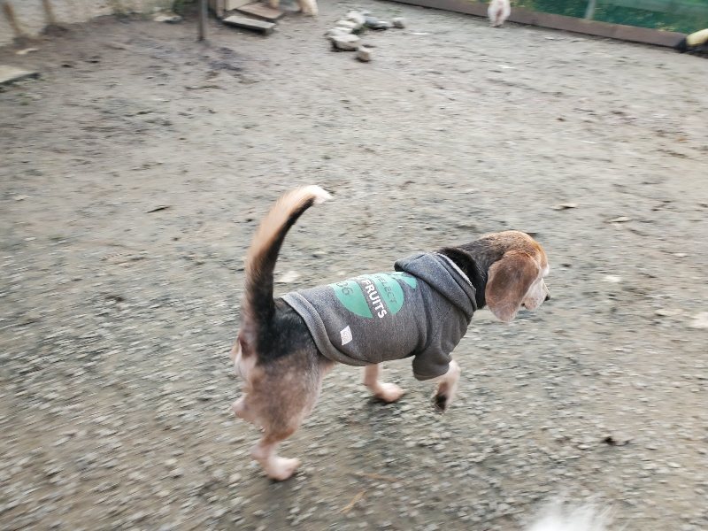 f:id:roukenhome-ann:20191214053133j:plain f:id:roukenhome-ann:20191214053133j:plain