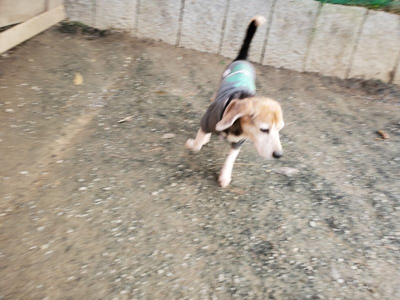 f:id:roukenhome-ann:20191214053139j:plain f:id:roukenhome-ann:20191214053139j:plain