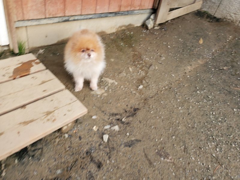f:id:roukenhome-ann:20191214053156j:plain f:id:roukenhome-ann:20191214053156j:plain