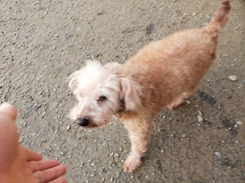 f:id:roukenhome-ann:20191214053201j:plain f:id:roukenhome-ann:20191214053201j:plain