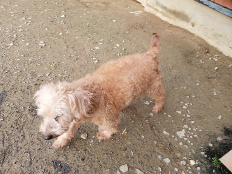 f:id:roukenhome-ann:20191214053212j:plain f:id:roukenhome-ann:20191214053212j:plain