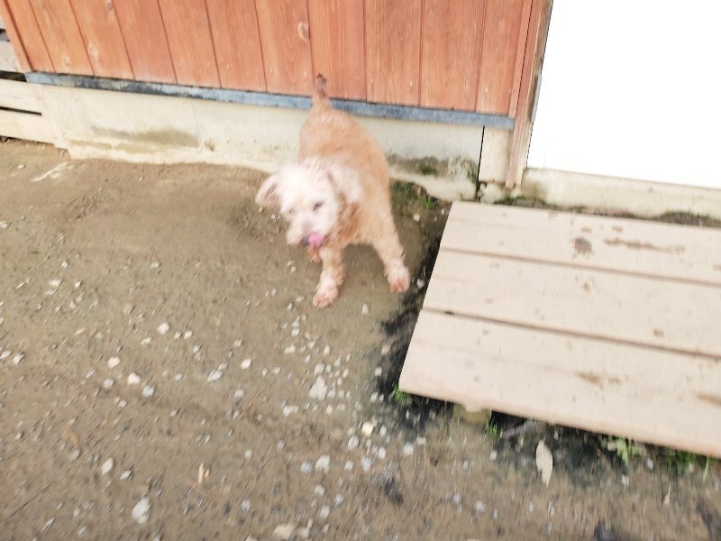 f:id:roukenhome-ann:20191214053217j:plain f:id:roukenhome-ann:20191214053217j:plain