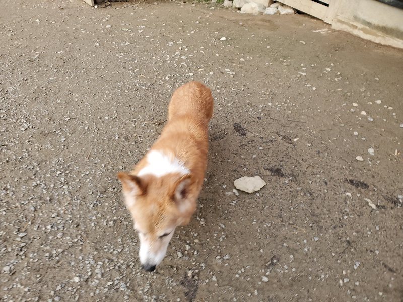 f:id:roukenhome-ann:20191214053226j:plain f:id:roukenhome-ann:20191214053226j:plain