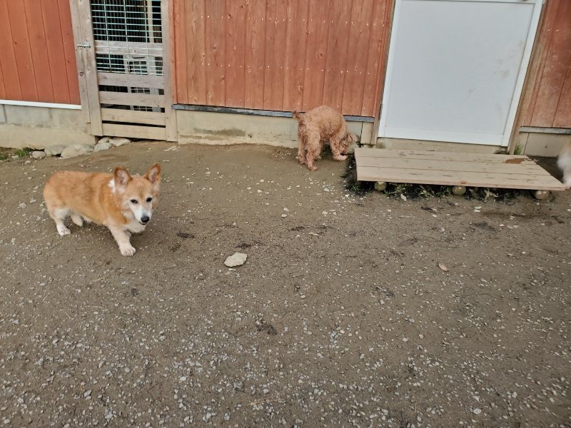 f:id:roukenhome-ann:20191214053243j:plain f:id:roukenhome-ann:20191214053243j:plain
