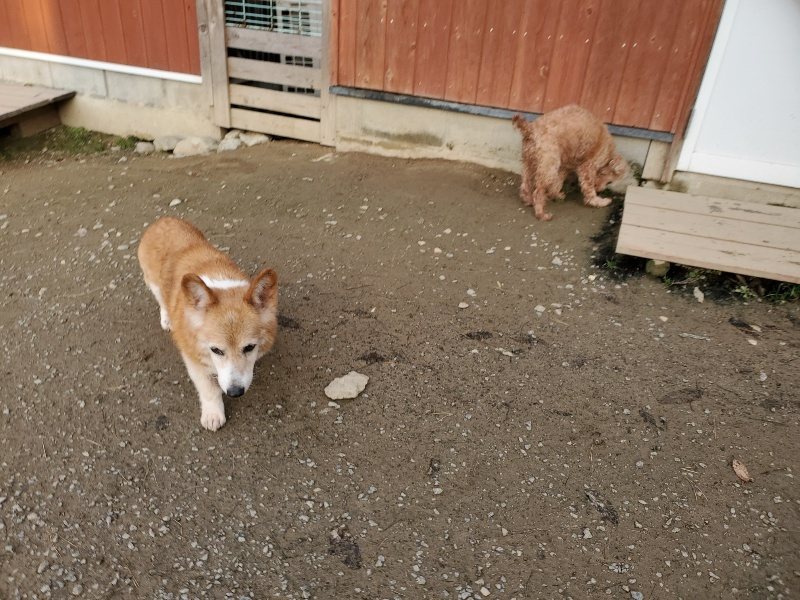 f:id:roukenhome-ann:20191214053258j:plain f:id:roukenhome-ann:20191214053258j:plain