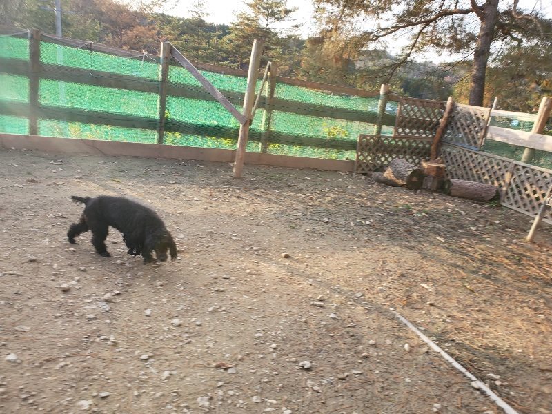 f:id:roukenhome-ann:20191214053349j:plain f:id:roukenhome-ann:20191214053349j:plain