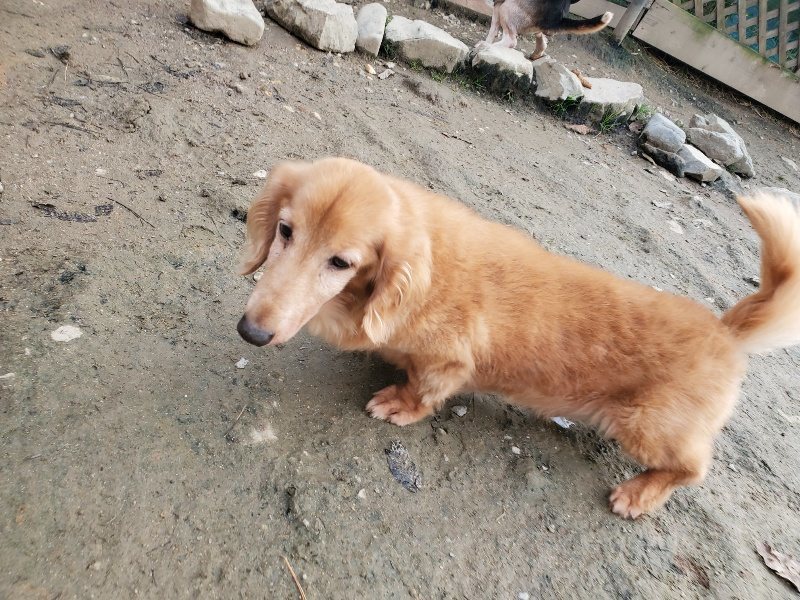 f:id:roukenhome-ann:20191214053356j:plain f:id:roukenhome-ann:20191214053356j:plain