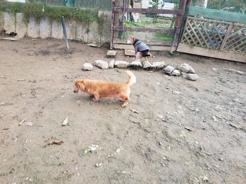 f:id:roukenhome-ann:20191214053403j:plain f:id:roukenhome-ann:20191214053403j:plain