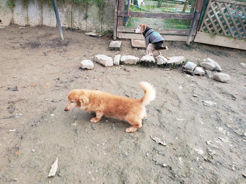 f:id:roukenhome-ann:20191214053414j:plain f:id:roukenhome-ann:20191214053414j:plain