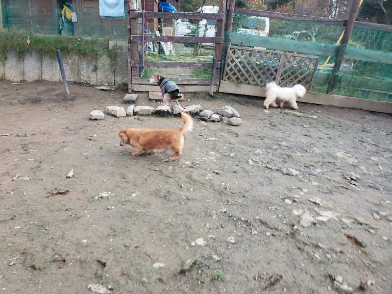 f:id:roukenhome-ann:20191214053422j:plain f:id:roukenhome-ann:20191214053422j:plain