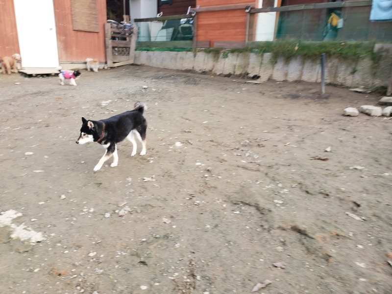 f:id:roukenhome-ann:20191214053429j:plain f:id:roukenhome-ann:20191214053429j:plain