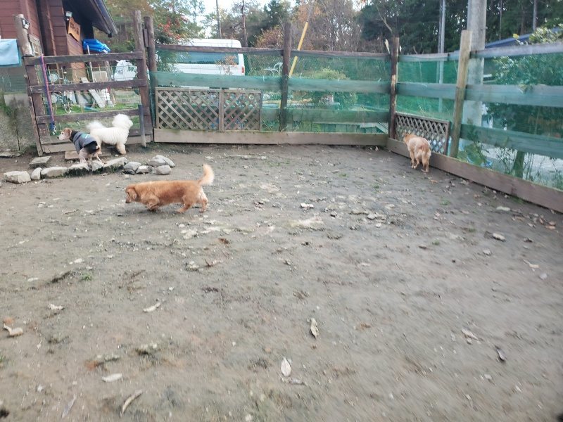 f:id:roukenhome-ann:20191214053435j:plain f:id:roukenhome-ann:20191214053435j:plain
