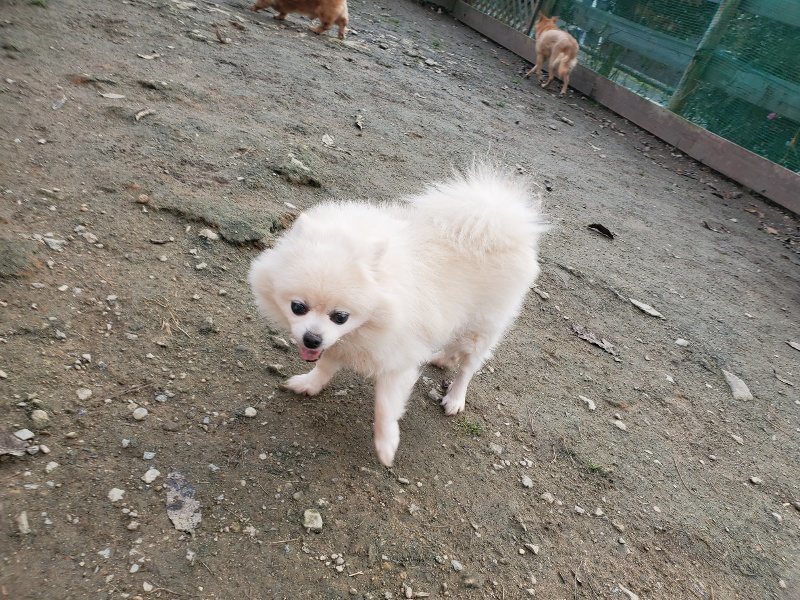 f:id:roukenhome-ann:20191214053442j:plain f:id:roukenhome-ann:20191214053442j:plain