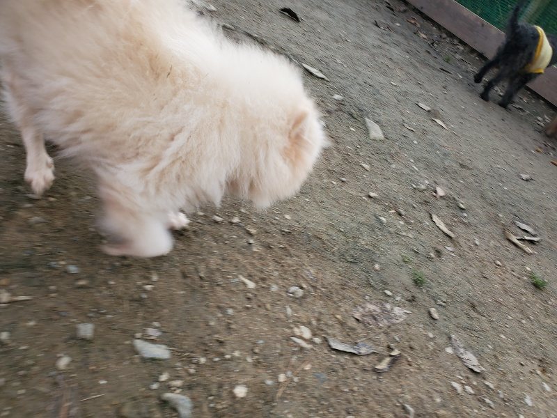 f:id:roukenhome-ann:20191214053450j:plain f:id:roukenhome-ann:20191214053450j:plain