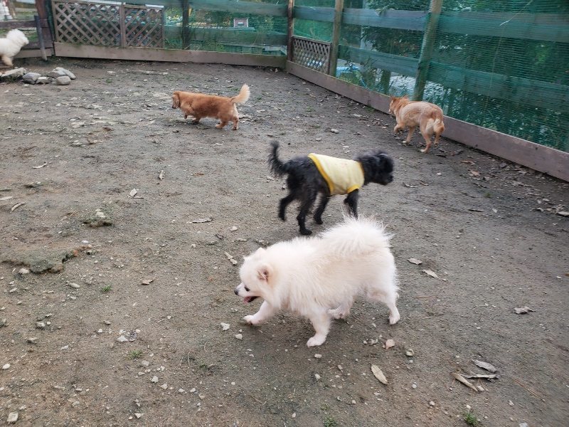 f:id:roukenhome-ann:20191214053459j:plain f:id:roukenhome-ann:20191214053459j:plain