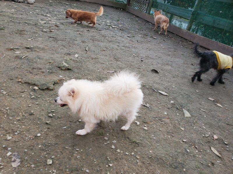 f:id:roukenhome-ann:20191214053507j:plain f:id:roukenhome-ann:20191214053507j:plain
