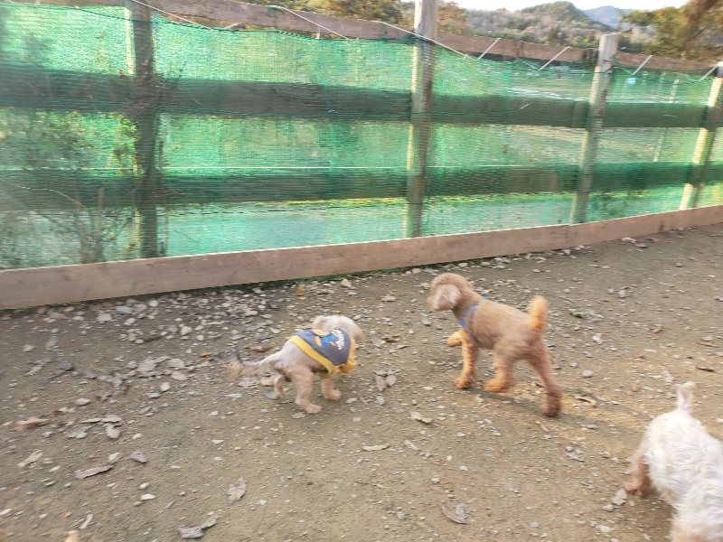 f:id:roukenhome-ann:20191214053517j:plain f:id:roukenhome-ann:20191214053517j:plain