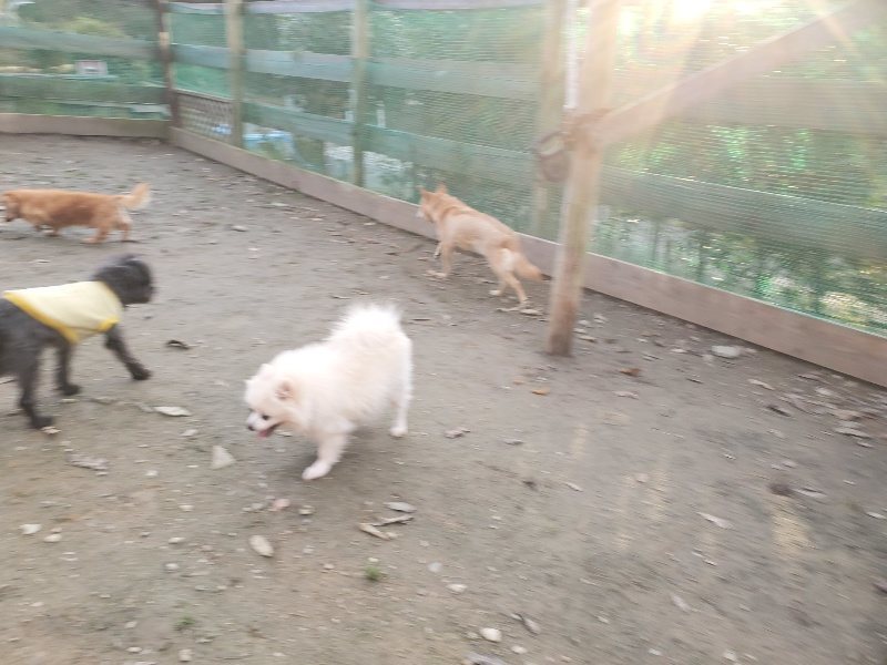 f:id:roukenhome-ann:20191214053522j:plain f:id:roukenhome-ann:20191214053522j:plain