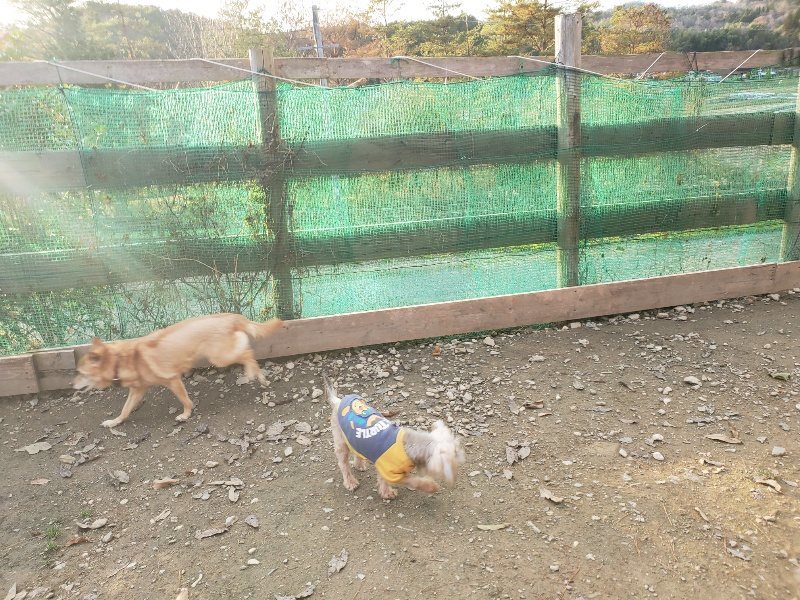 f:id:roukenhome-ann:20191214053527j:plain f:id:roukenhome-ann:20191214053527j:plain