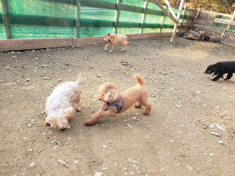 f:id:roukenhome-ann:20191214053549j:plain f:id:roukenhome-ann:20191214053549j:plain